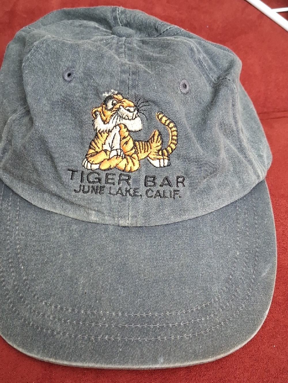 Adams Gray Cap with Blue and Yellow Embroidered Logo
